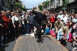 2007 05 27 jazz source p 184